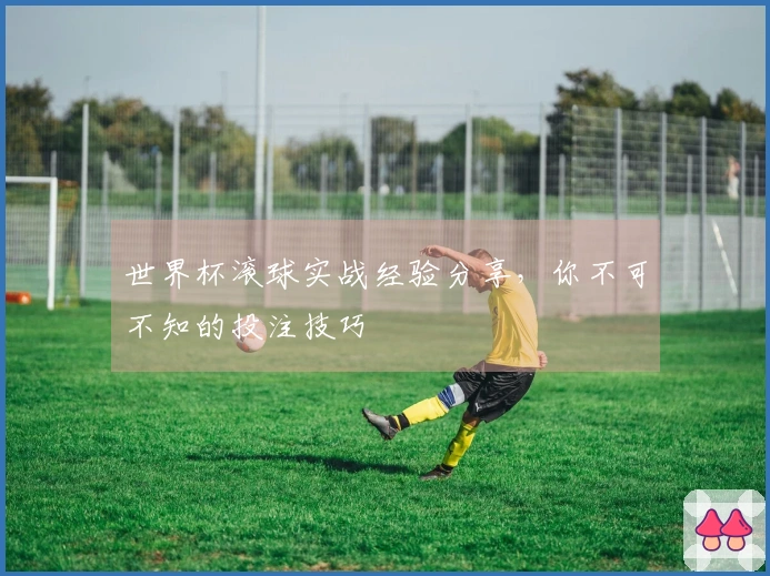 世界杯滚球实战经验分享，你不可不知的投注技巧