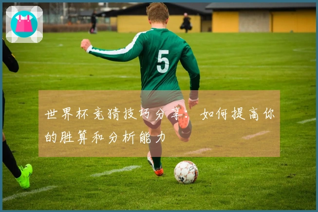 世界杯竞猜技巧分享：如何提高你的胜算和分析能力